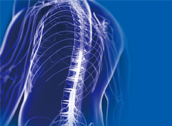 關于我國骨科醫(yī)療器械行業的未來發(fā)展分